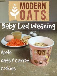 Baby Led Weaning Cookies