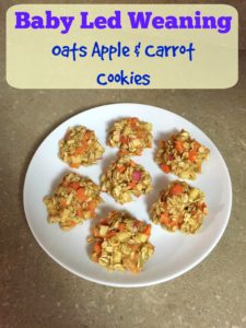 Baby Led Weaning Recipe - Apple Oat Carrot Cookies